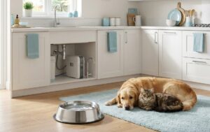 Pet-Safe Water Filters: Remove Toxins for Dogs and Cats